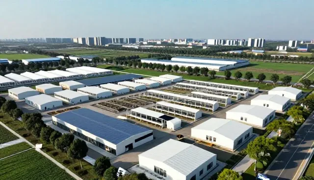 技术培训在业务发展中的核心作用与实践路径