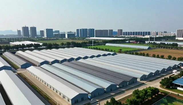 提升服务响应效率的关键实践与技术培训建议